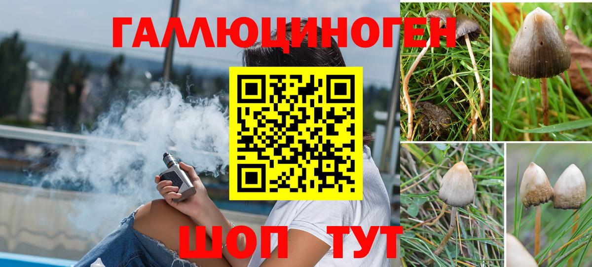 Псилоцибиновые грибы GOLDEN TEACHER  хочу наркоту  Южноуральск  Вход с VPN 