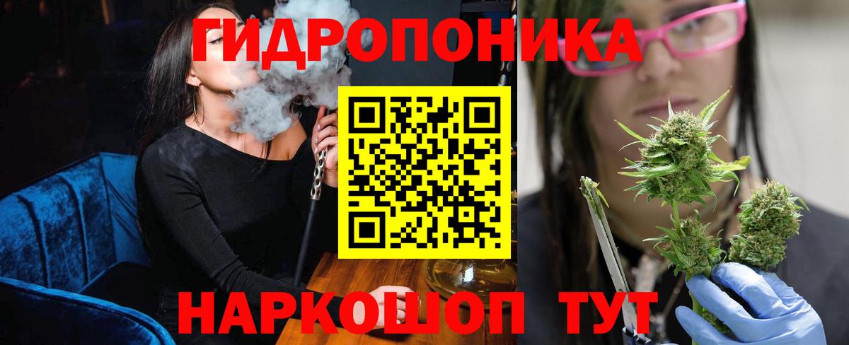 Канабис план  Бошки марихуана сатива  Бошки Шишки планчик  Вход с VPN  Южноуральск 
